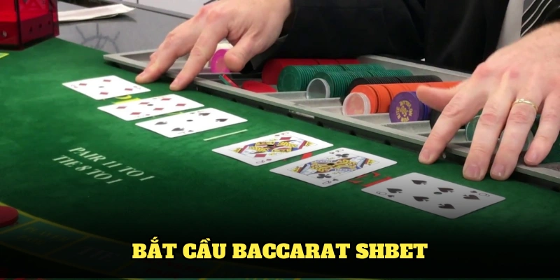 bắt cầu baccarat shbet