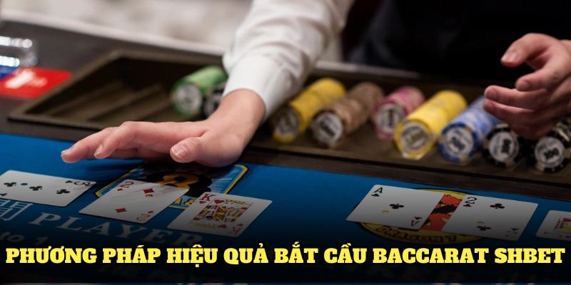 Phương pháp nâng tầm hiệu quả bắt cầu Baccarat SHBET dành cho bạn