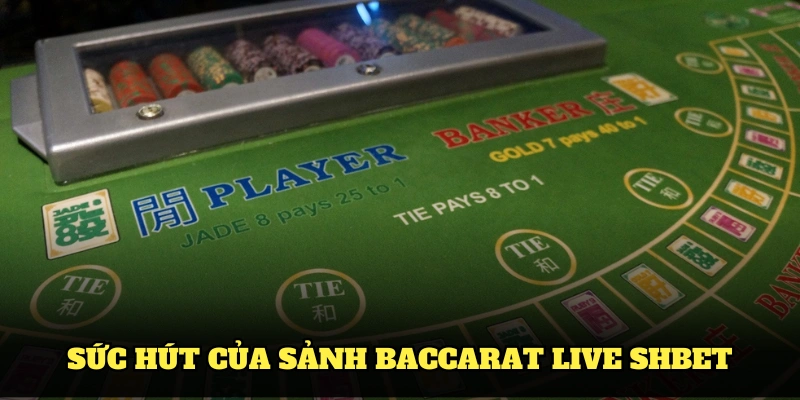 Những chiến thuật chơi Baccarat Live SHBET bạn cần nắm rõ