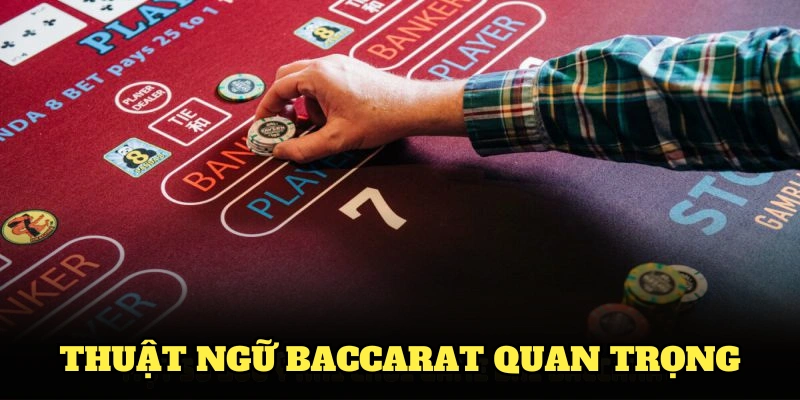 Thuật ngữ Baccarat quan trọng nhất người chơi cần ghi nhớ kỹ